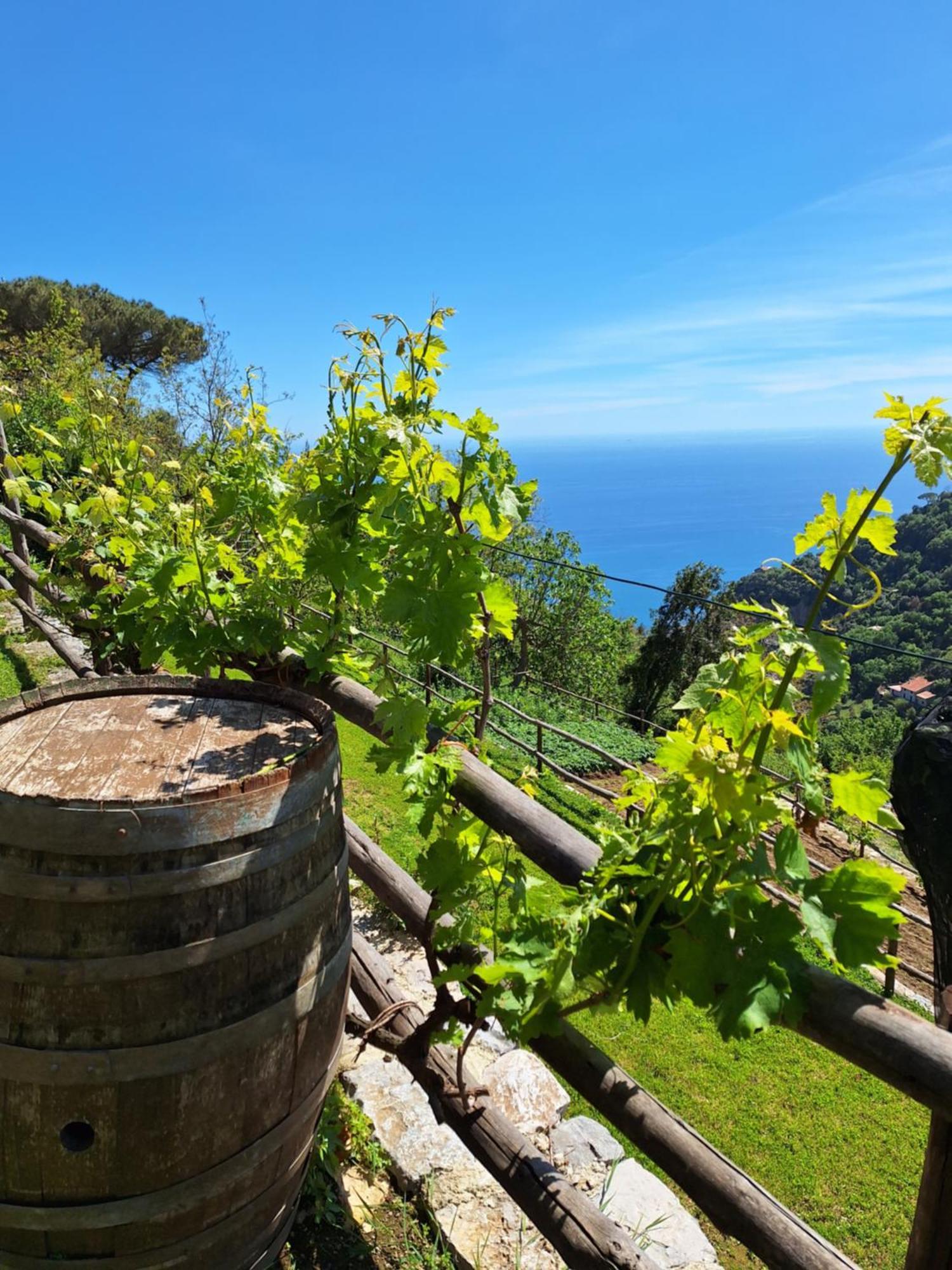 Agriturismo Orrido Di Pino Agerola Exterior photo