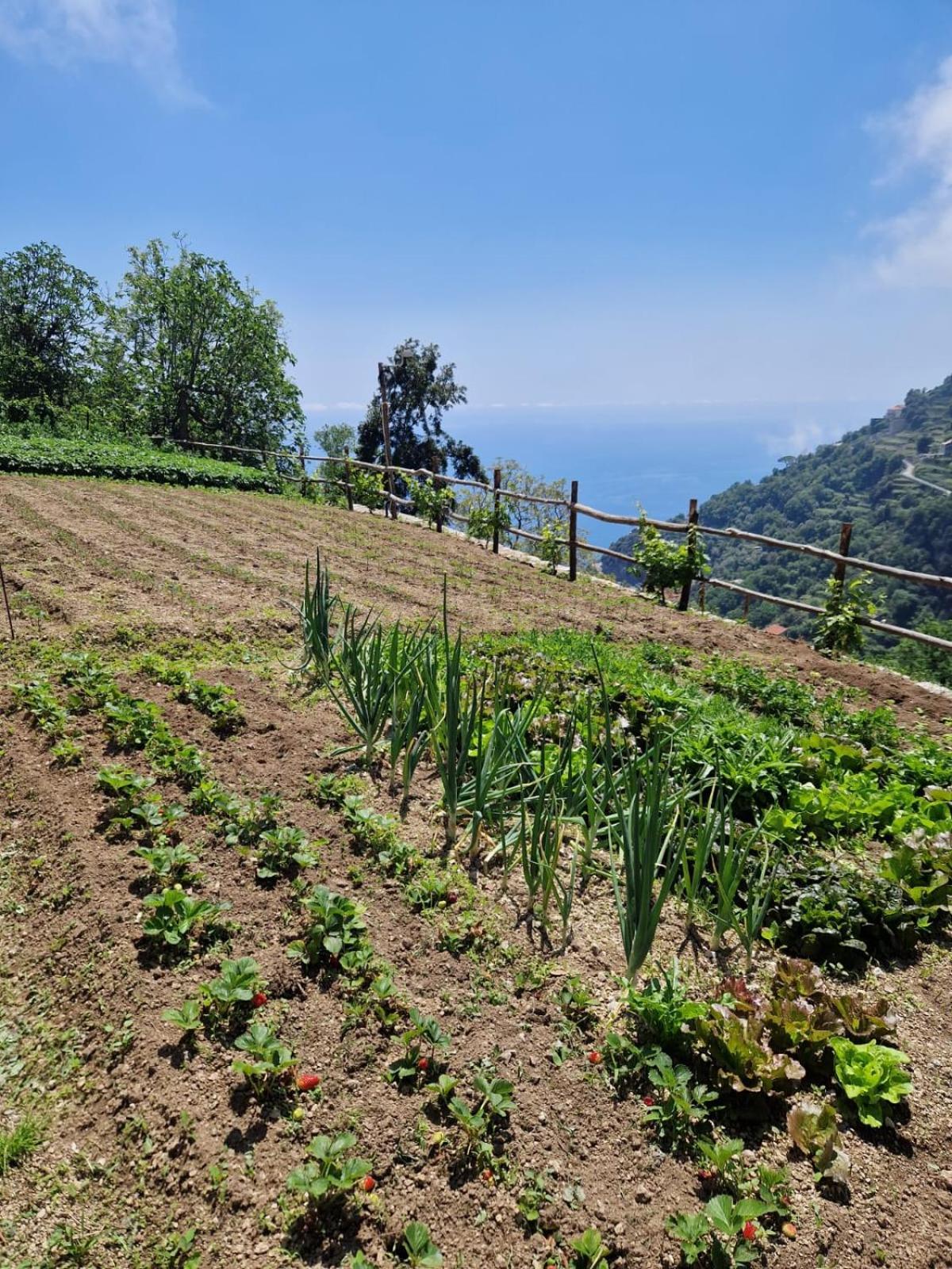 Agriturismo Orrido Di Pino Agerola Exterior photo