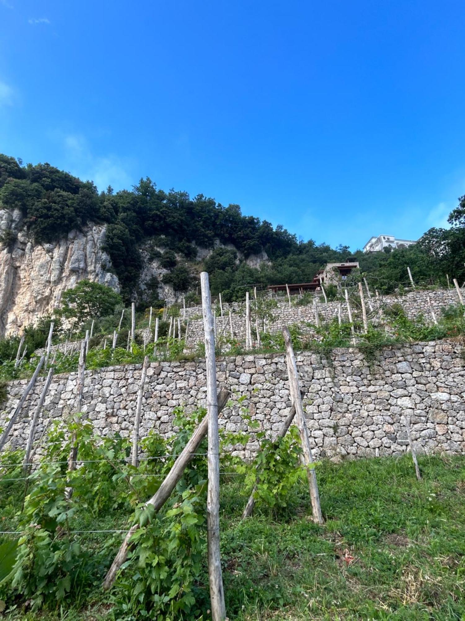Agriturismo Orrido Di Pino Agerola Exterior photo
