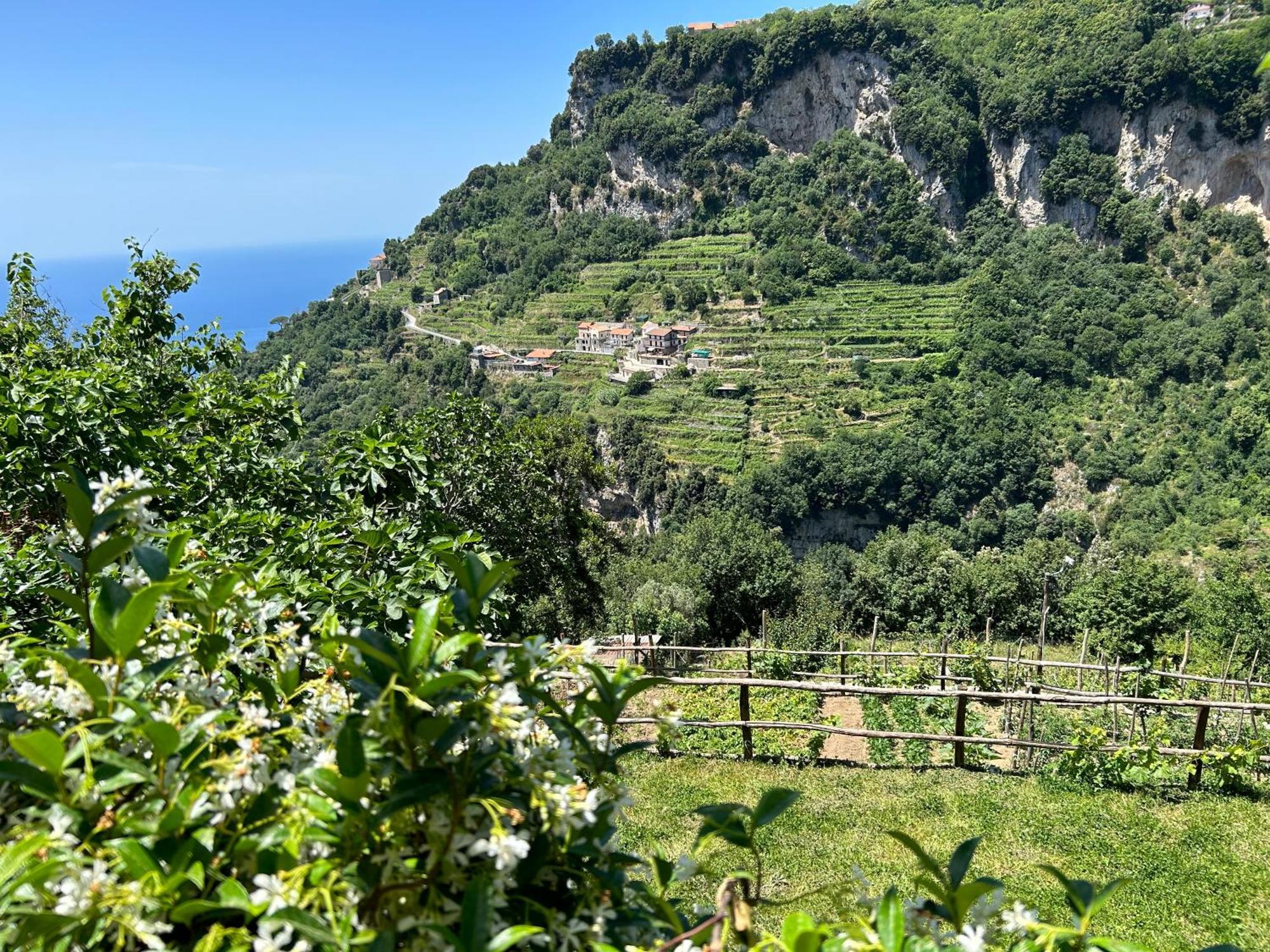 Agriturismo Orrido Di Pino Agerola Exterior photo